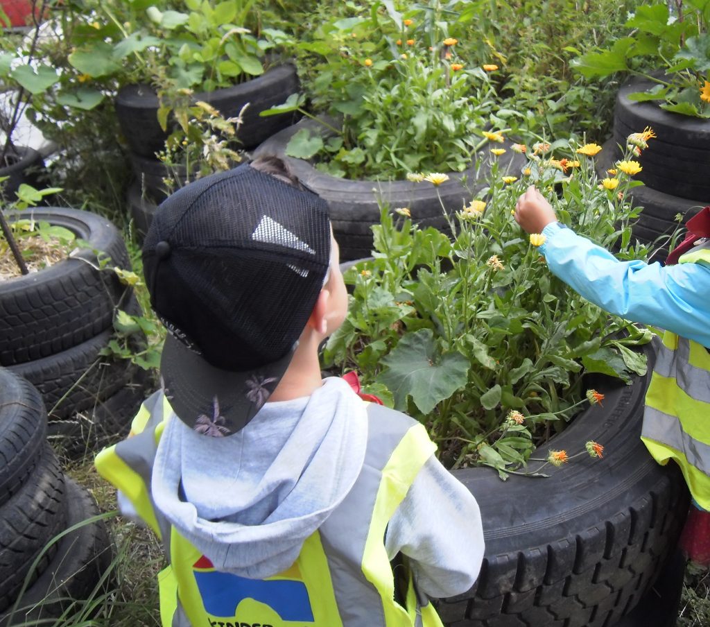 Minitopia ausgezeichnet von „Naturkinder 2019“