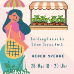 Jungpflanzenbörse: Bio-Tomaten der Solawi Superschmelz