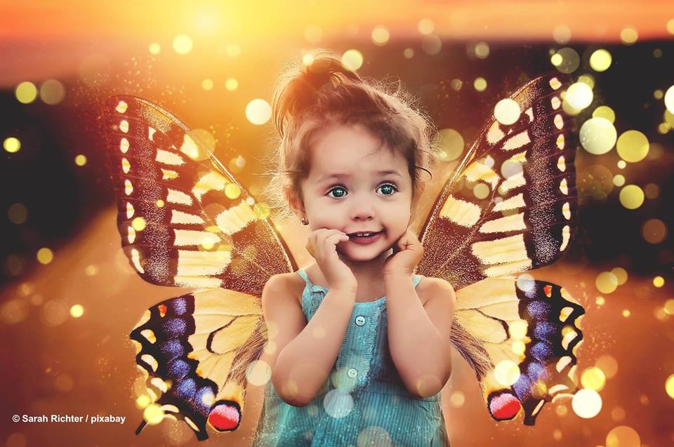 7. Juli – 4. August: Zauberhafte Welt der Schmetterlinge