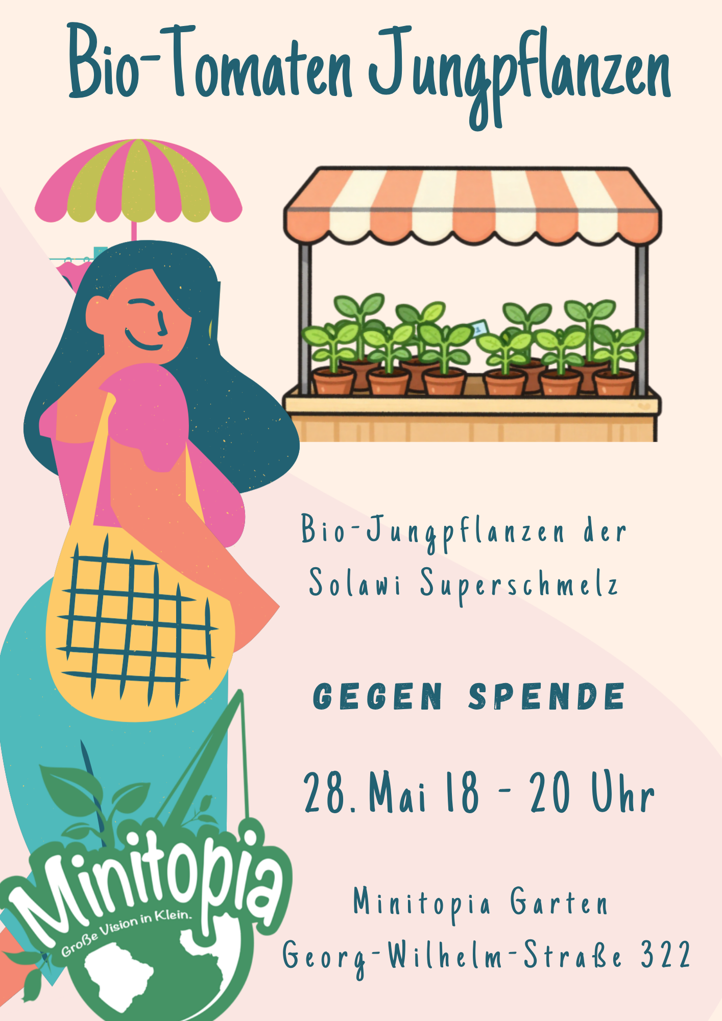 Jungpflanzenbörse: Bio-Tomaten der Solawi Superschmelz
